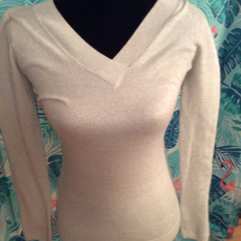 Glittery Sweater top